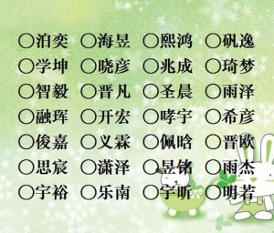 给宝宝起名最好的字是,寓意美好,传承文化的名字(给宝宝取名寓意好的字)