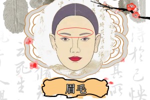 旺夫眉是什么眉型