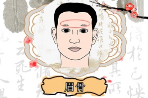 眉骨高的男人财运好不好