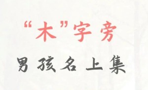 带木字旁的字男孩名字(带木字旁的字男孩名字小名)