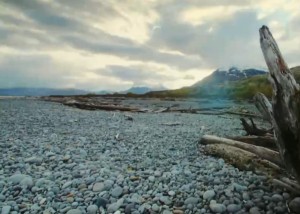 用神为金的人命运如何