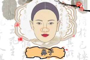 鼻头圆的女人面相分析