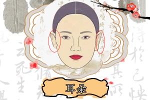 耳朵薄的女人的命运旺不旺夫