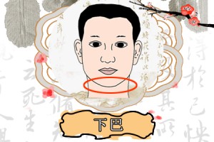 下巴长还是下巴短有财运