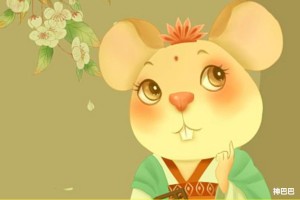 属鼠的养什么花有财运
