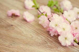 金牛座近期桃花运势如何