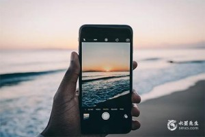 今年属鼠忌讳的东西