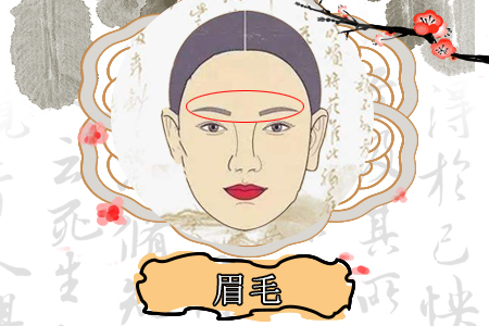 八字眉的女人旺夫吗