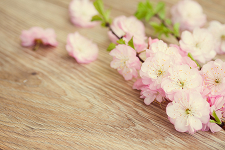 金牛座近期桃花运如何